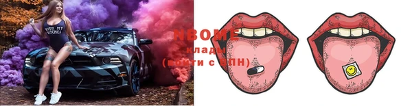 прущие грибы Ладушкин
