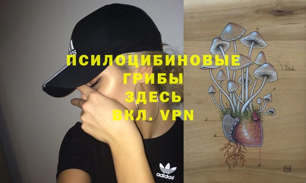 дмт Кукмор