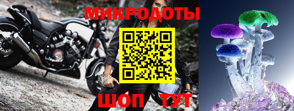 Псилоцибиновые грибы прущие грибы  Псилоцибиновые грибы Psilocybe  Красноармейск  Вход с VPN 